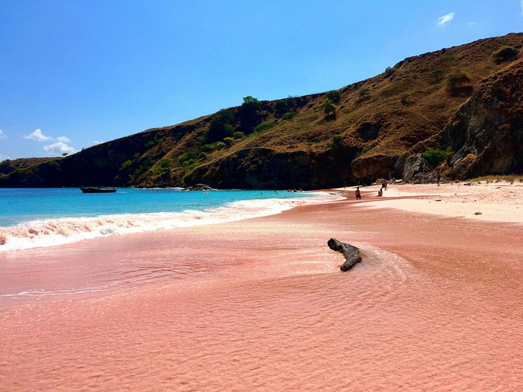 pink beach